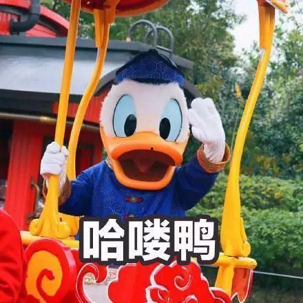 娱乐吃瓜鸭,吃瓜鸭带你探秘明星幕后故事